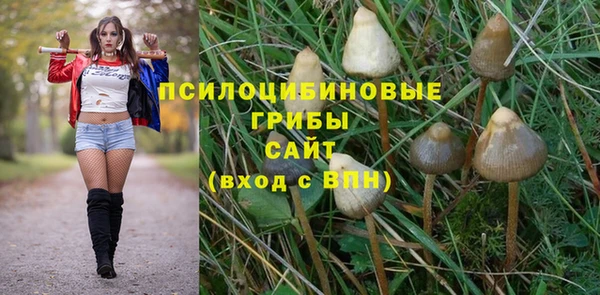 не бодяженный Аркадак