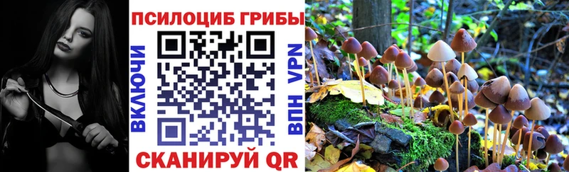 купить наркотики сайты  Унеча  Галлюциногенные грибы GOLDEN TEACHER 